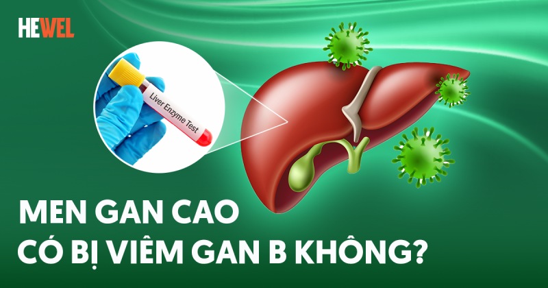 Men gan cao có bị viêm gan B không? Làm sao để biết?