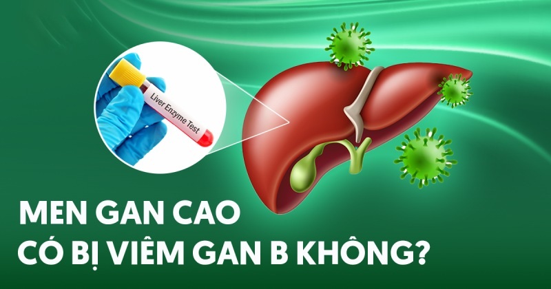Men gan cao có bị viêm gan B không? Làm sao để biết?
