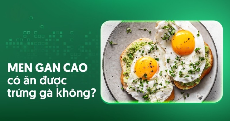 Men gan cao có ăn được trứng gà không? Nên ăn bao nhiêu?
