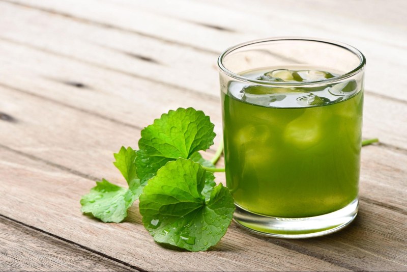 uống nước rau má có tốt cho gan không
