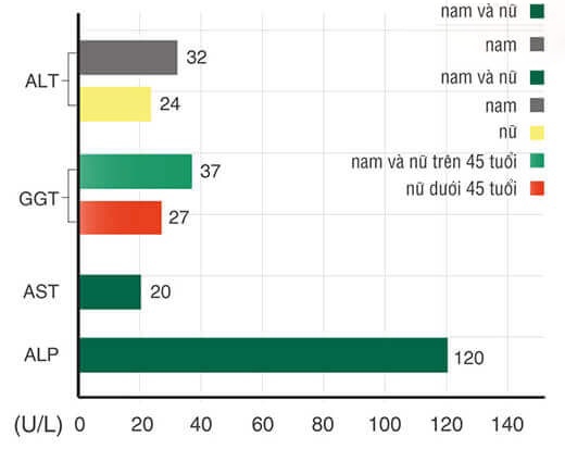 biểu đồ tăng men gan