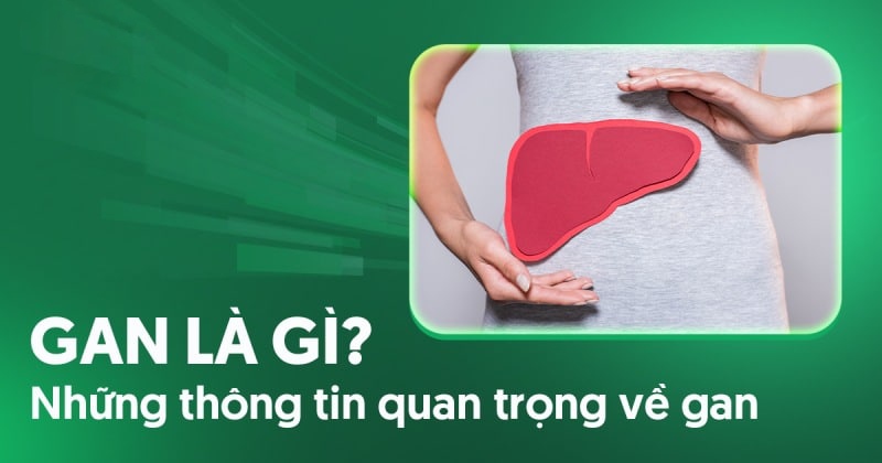 gan là gì