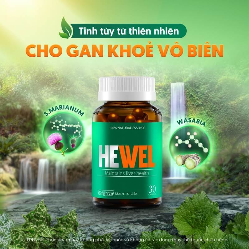 hewel bảo vệ gan
