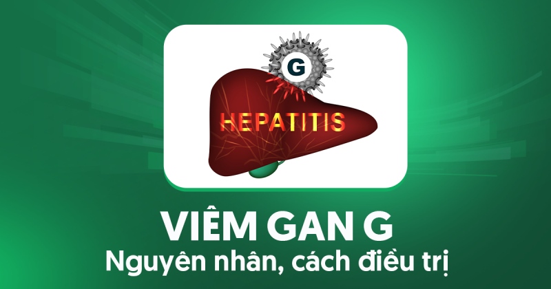Viêm gan G: Nguyên nhân, lây qua đường nào và điều trị