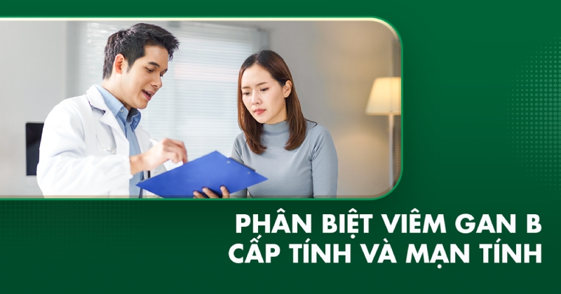Phân biệt viêm gan B cấp tính và mạn tính