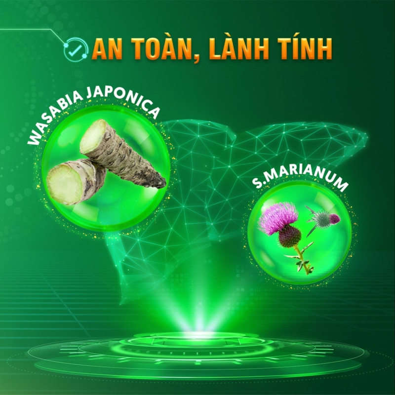 bộ đôi wasabia và s .marianum