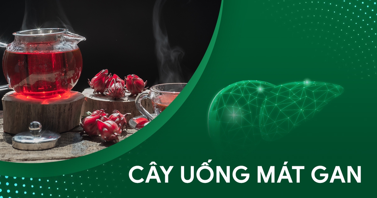 11 loại cây uống mát gan phổ biến, giúp giảm nóng trong